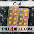 Cial new10